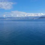 Linamare Maistro
