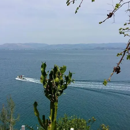 Linamare Maistro