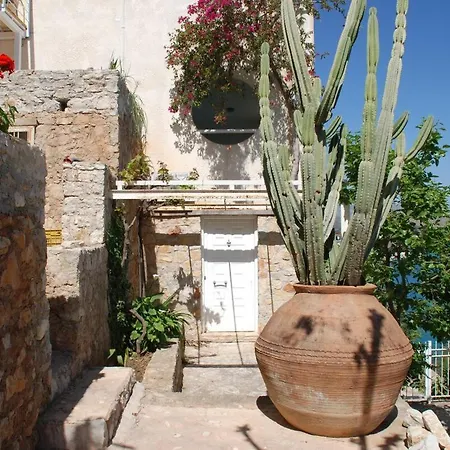 Linamare Maistro * Kivérion