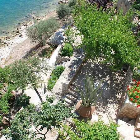 Linamare Maistro *