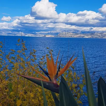 Linamare Maistro *