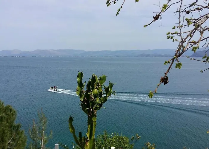 Linamare Maistro